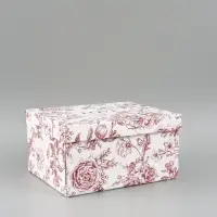 Коробка складная &laquo;Красный вектор&raquo;, 31 х 25,5 х 16 см