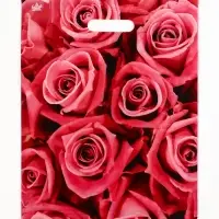 Пакет "Джейми", полиэтиленовый с вырубной ручкой, л 40х31 см, 60 мкм Пакет "Джейми", полиэтиленовый с вырубной ручкой, л 40х31 см, 60 мкм