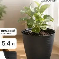Горшок цветочный с поддоном Saffron, 5.4 л, d=22.4 см, h=20.5 см, пластиковый, серый