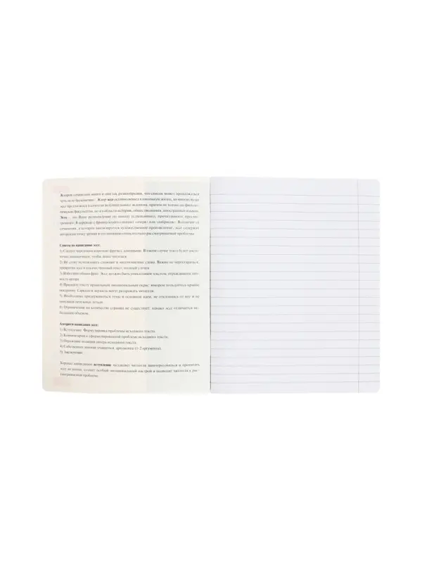 Предметная тетрадь для сочинений Hatber &laquo;Буквица&raquo;, 48 листов, в линейку, со справочным материалом, обложка из мелованного картона