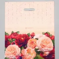 Пакет "Бордо", полиэтиленовый с вырубной ручкой 40х47 см, 45 мкм