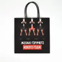 Пакеты подарочные новогодние &laquo;Новый год&raquo;, 22&times;22&times;11 см, 10 шт.