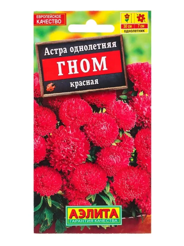 Семена цветов Астра Гном красная , Ц/П,0,2 г Семена цветов Астра Гном красная , Ц/П,0,2 г