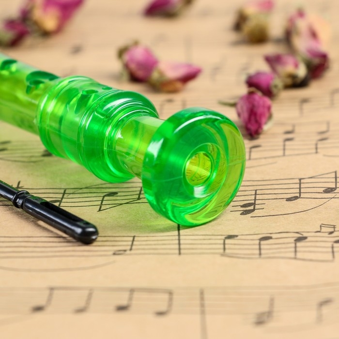 Блокфлейта Music Life, 8 отверстий, немецкая система, зеленая Блокфлейта Music Life, 8 отверстий, немецкая система, зеленая