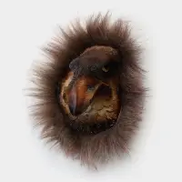 Панно &laquo;Голова орла&raquo;, 15&times;15&times;7 см