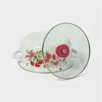 Набор кастрюль эмалированных &laquo;Астры-1-Экстра&raquo;, 3 предмета: 2 л, 3 л, 4 л, белый