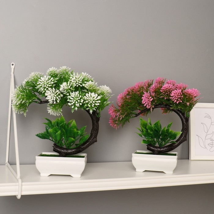 Бонсай в горшке Бонсай в горшке "Селагинелла африканская" 10х20 см, микс