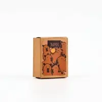Значок в коробочке &laquo;Капибара&raquo;, 2.5&times;4 см