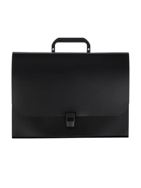 Папка-портфель А4, 12 отделений, 600 мкм, ErichKrause Matt Classic, до 350 листов, чёрная