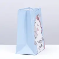 Пакет подарочный, упаковка, Miss U, 20 х 16 х 8 см