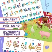 Книга «Обучающие плакаты», А4, 9 плакатов, Дисней