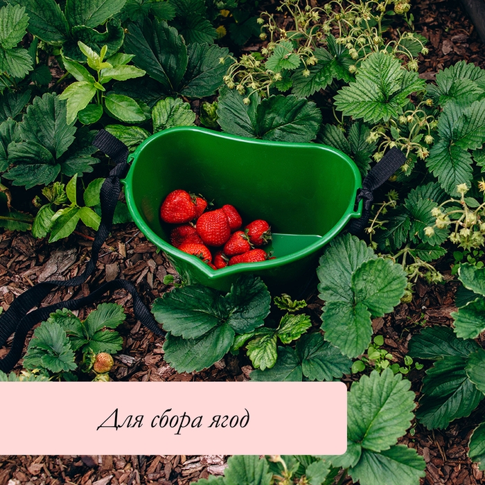 Ёмкость для сбора ягод, 3 л, тёмно-зелёная