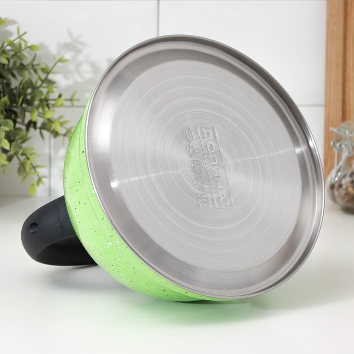 Чайник со свистком из нержавеющей стали Доляна «Рио», 2,8 л, фиксированная ручка, цвет зелёный Чайник со свистком из нержавеющей стали Доляна «Рио», 2,8 л, фиксированная ручка, цвет зелёный