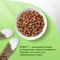 Влажный корм KiteKat для кошек, говядина в соусе, пауч, 85 г