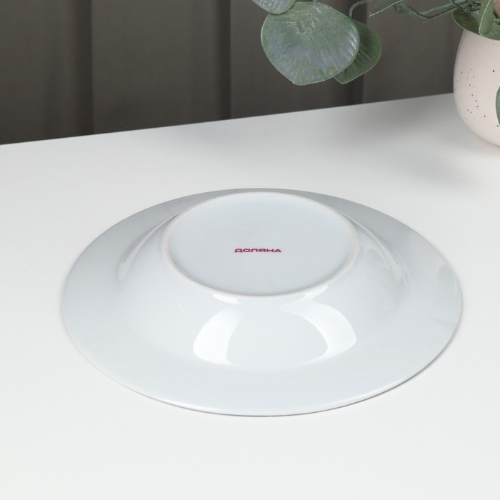 Тарелка керамическая глубокая Доляна «Кассиопея», 300 мл, d=21 см Тарелка керамическая глубокая Доляна «Кассиопея», 300 мл, d=21 см