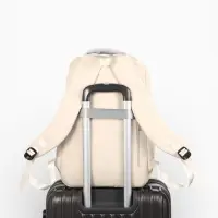 Рюкзак школьный, &laquo;Уставший кот&raquo;, 5 карманов, 2 отделения, 31&times;13.5&times;45 см, сливочный