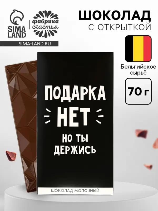 Шоколад молочный &laquo;Подарка нет&raquo;, 70 г