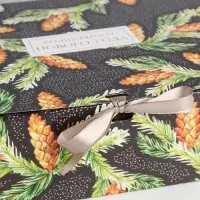 Складная коробка подарочная &laquo;Шишки&raquo;, 31 х 24.5 х 8 см, Новый год