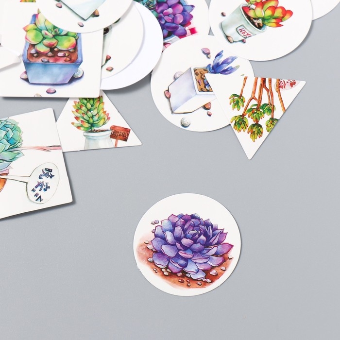 Набор наклеек Набор наклеек "Суккуленты" 40 шт в коробочке 3,8х3,8 см