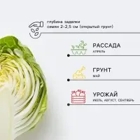 Семена Капуста краснокочанная &laquo;Красное сердце&raquo;, 0.1 г, &laquo;Поиск&raquo;