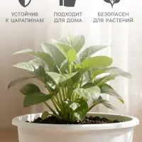 Горшок цветочный &laquo;Цветочек&raquo;, 3.6 л, d=21.5 см, h=16.5 см, пластиковый, белый