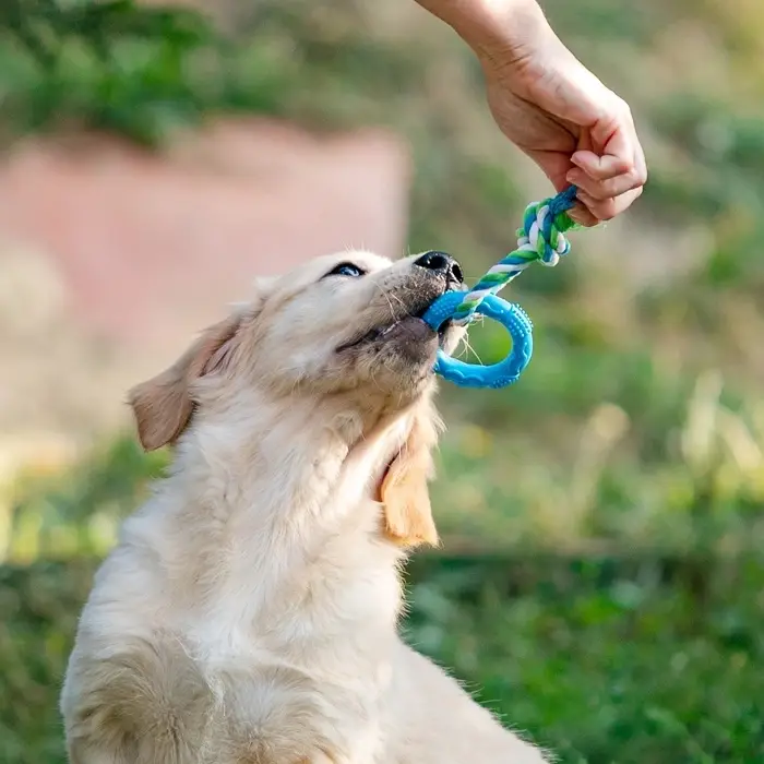 Игрушка жевательная с канатом &laquo;Кусочек солнца&raquo;, 8 см, голубая