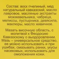 Мазь &laquo;Монастырская Феодосия Кавказского&raquo; от головной боли, "Бизорюк", 25 мл