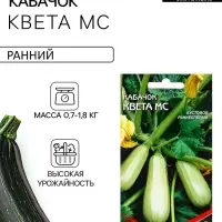 Семена Кабачок &laquo;Квета Мс&raquo;, 11 шт., &laquo;Дом семян&raquo;