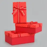 Набор подарочных коробок 3 в 1, прямоугольные 23&times;16&times;9.5 21&times;14&times;8.0 19&times;12&times;6.5 см