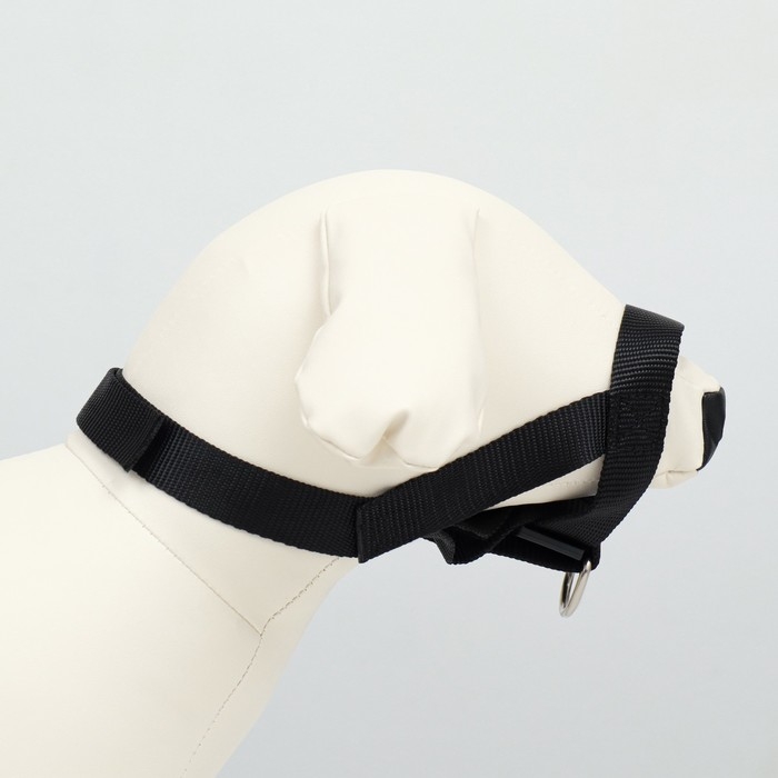 Недоуздок-намордник для собак строгий, размер S, ОM  12-24 см, ОШ 11-18 см, черный Недоуздок-намордник для собак строгий, размер S, ОM  12-24 см, ОШ 11-18 см, черный