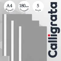 Набор папок-скоросшивателей А4, 5 штук, Calligrata, 180 мкм, с прозрачным верхом, серый