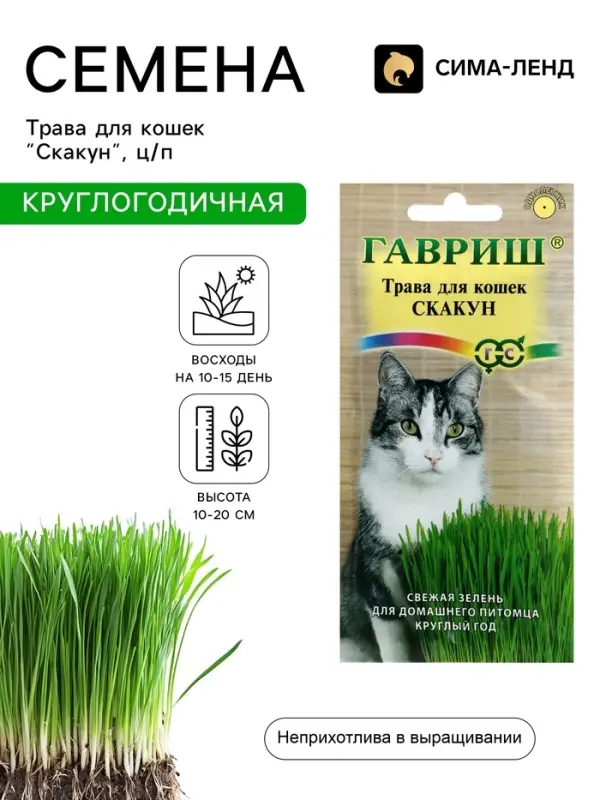 Семена Трава для кошек &laquo;Скакун&raquo;, 10 г, &laquo;Гавриш&raquo;