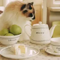 Заварочный чайник SL Home &laquo;Милый дом&raquo;, 900 мл, 21&times;13.8&times;13.5 см, фарфор, белый