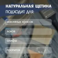 Кисть плоская ТУНДРА, натуральная щетина, деревянная рукоятка, 3/4", 20 мм