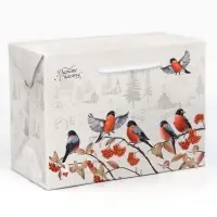 Пакет—коробка «Зима в деревне», снегири, 28 х 20 х 13 см