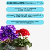 Грунт для растений семейств - Фиалковые, Гераниевые, Геснериевые &laquo;Рецепты Дедушки Никиты&raquo;, 5 л