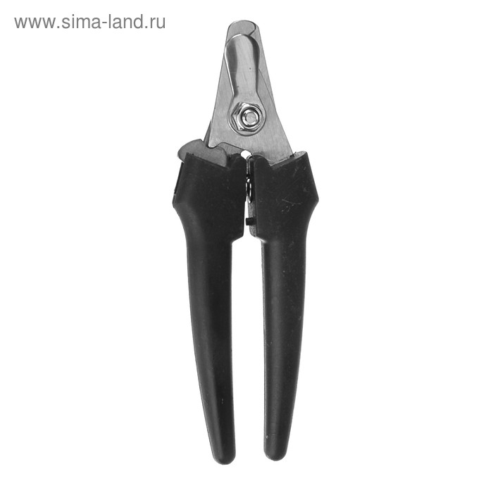 Когтерез боковой большой с прямыми ручками, 16,2 х 5,5 х 1,3 см, эконом, микс цветов Когтерез боковой большой с прямыми ручками, 16,2 х 5,5 х 1,3 см, эконом, микс цветов