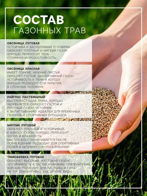 Газонная травосмесь &laquo;Детский&raquo; 1 кг