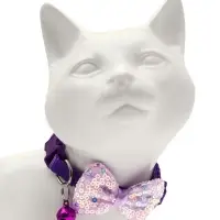 Набор ошейников для кошек &laquo;Маскарад&raquo;, 19-32&times;1 см, 4 шт.