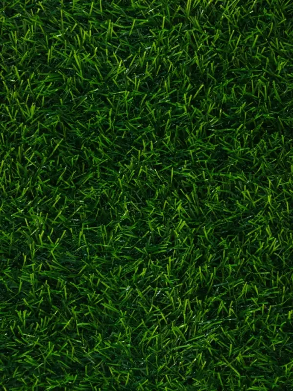 Газон искусственный, ворс 10 мм, 1&times;2 м, зелёный, Greengo