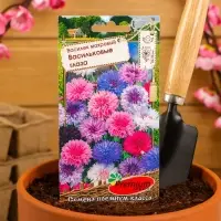 Семена цветов Василек махровый "Васильковые глаза", смесь, 0,5 г