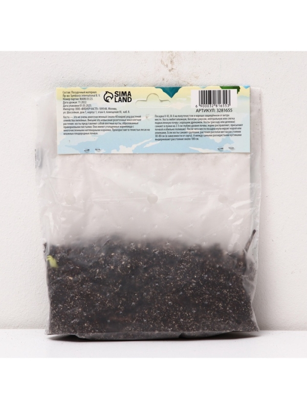 Хоста «Ферст Фрост», корневище в пакете с торфогрунтом, р-р I, 1 шт.