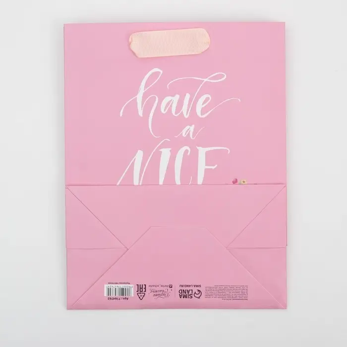 Пакет подарочный ламинированный, упаковка, &laquo;Have a nice day&raquo;, MS 18&times;23&times;10 см