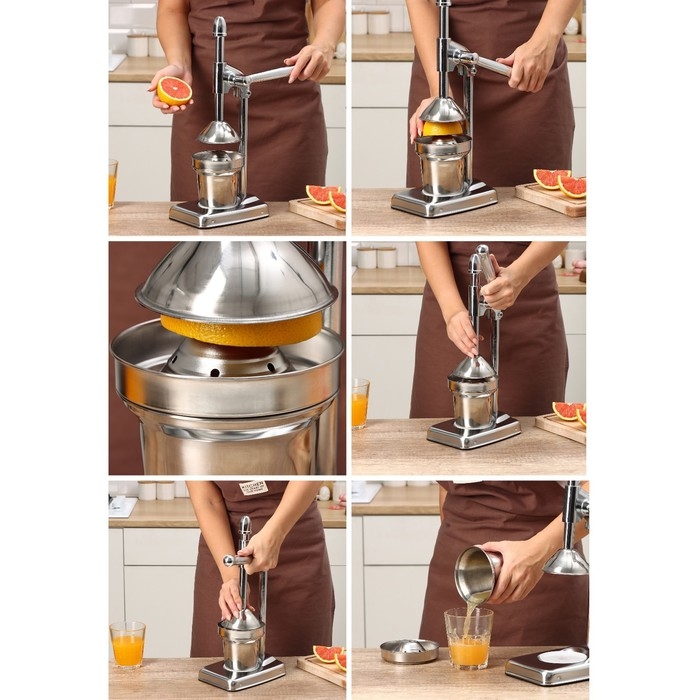 Соковыжималка механическая Доляна Fruits, 20×14,5×37 см Соковыжималка механическая Доляна Fruits, 20×14,5×37 см