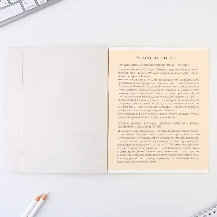 Тетрадь в клетку, предметная, 48 л.,на скрепке, А5 &laquo;МИНИМАЛИЗМ. История&raquo;