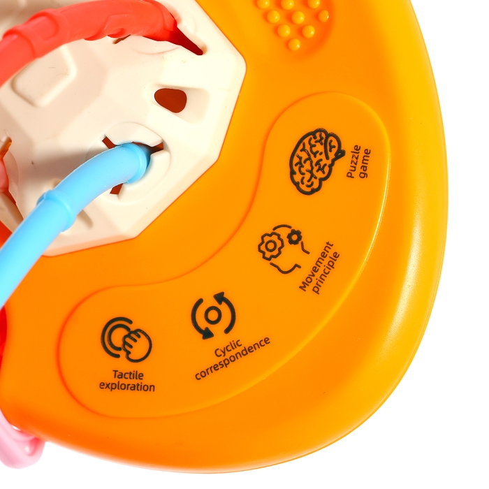 Развивающая игрушка «Морковка-тянучка» Развивающая игрушка «Морковка-тянучка»