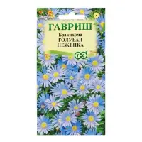 Семена Брахикома "Голубая неженка", ц/п,  0,02 г