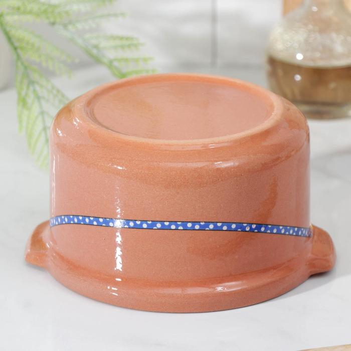 Горшок-сотейник «Гуси», 1 л Горшок-сотейник «Гуси», 1 л