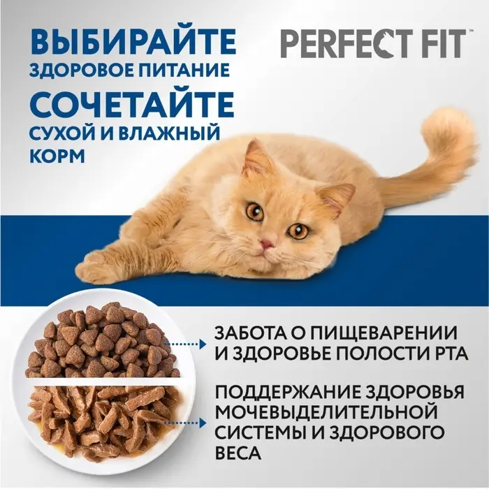 Сухой корм Perfect Fit для домашних кошек, курица, 650 г Сухой корм Perfect Fit для домашних кошек, курица, 650 г