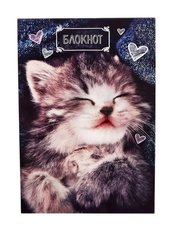 Блокнот А6, 24 листа в клетку на скрепке &laquo;Котята&raquo;, обложка мелованный картон, МИКС